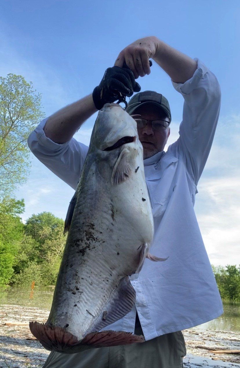 Man holding up a large, gray catfish with both hands, outdoors on a sunny day.