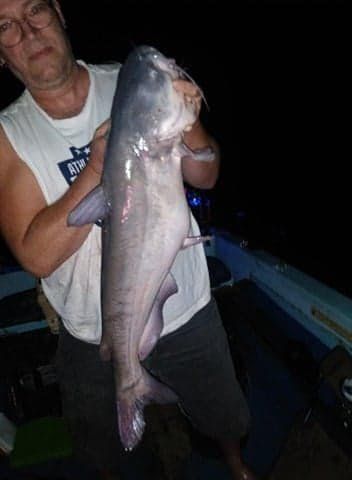 Man holding a large, bluish-gray catfish. Dark setting, boat interior visible. Fish is central focus.