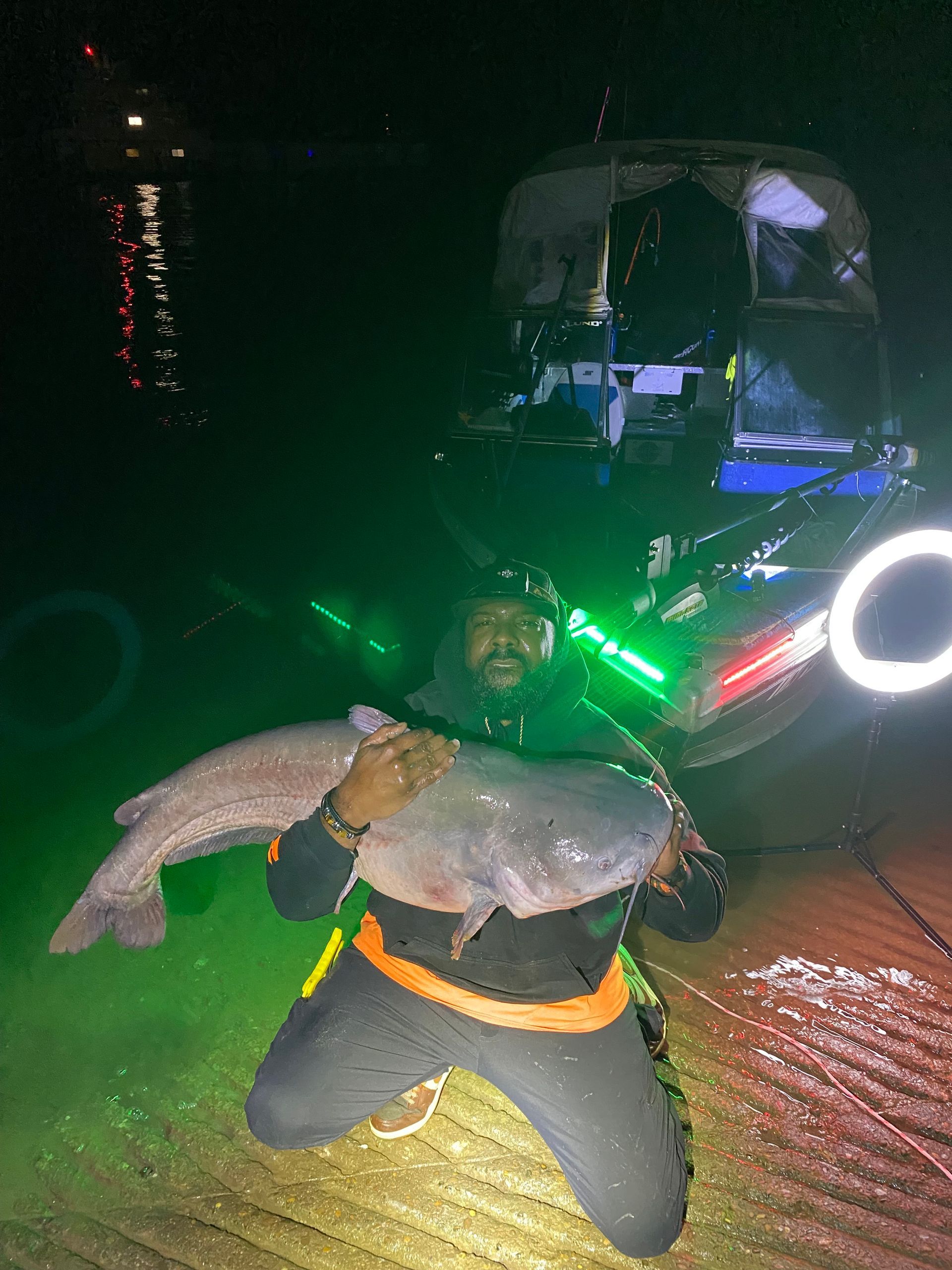 Man kneeling, holding large fish at night, boat in the background, illuminated by green and white lights.