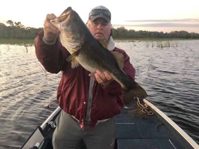 Man holding a large bass fish on a boat. Lake and trees in background.