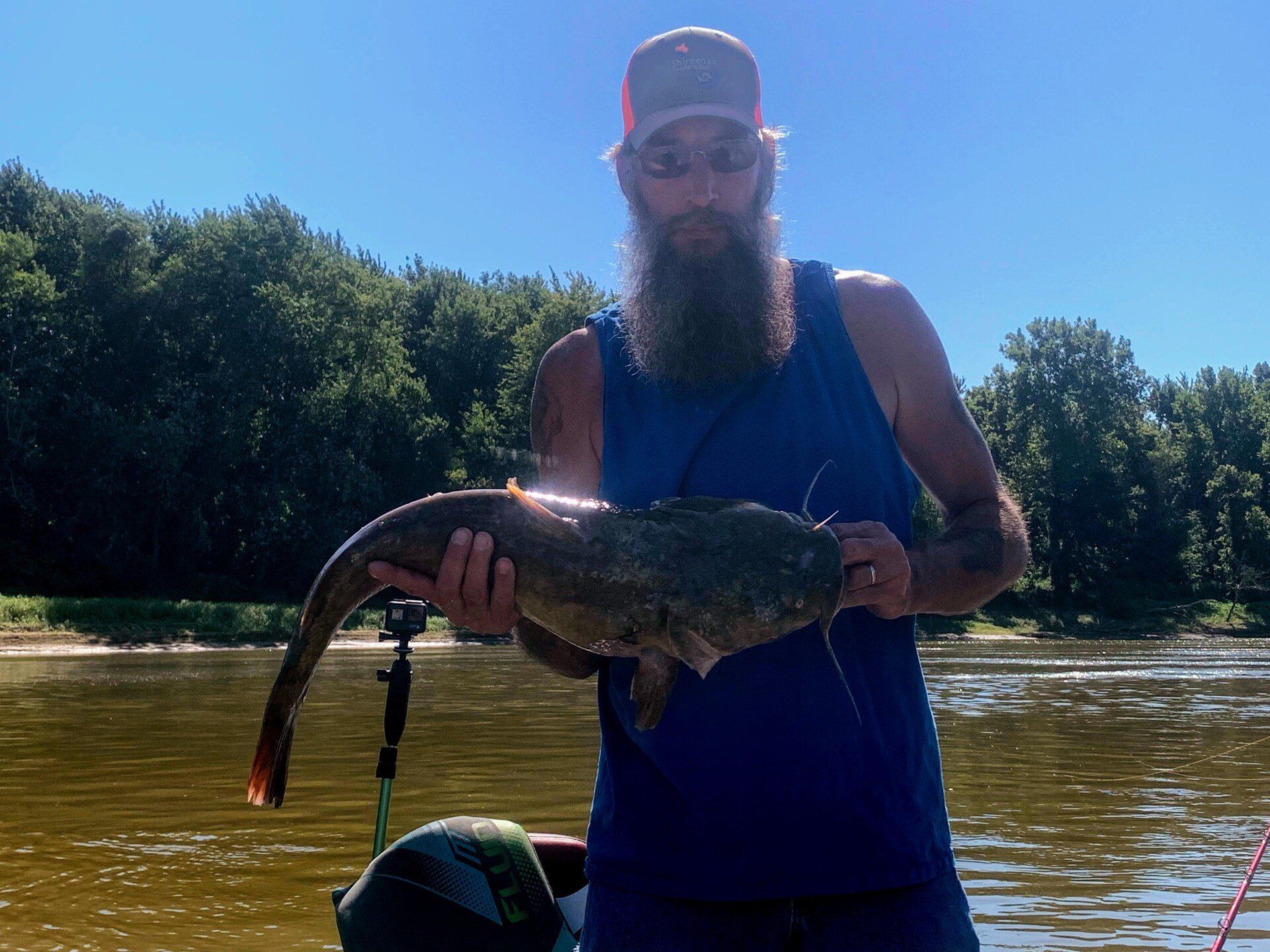 Man holding a large catfish on a boat, green trees and water in the background.