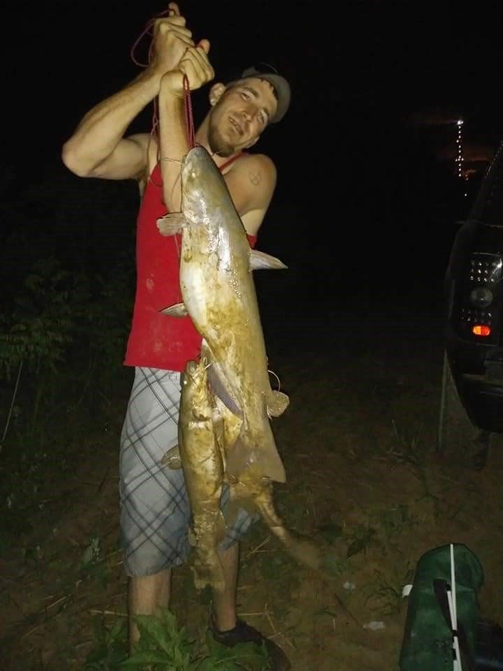 Man holding two large catfish, red shirt, gray shorts, outdoors at night.