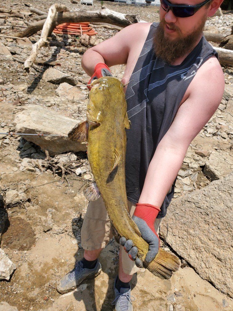 Man holding a large, golden catfish on a rocky shore.
