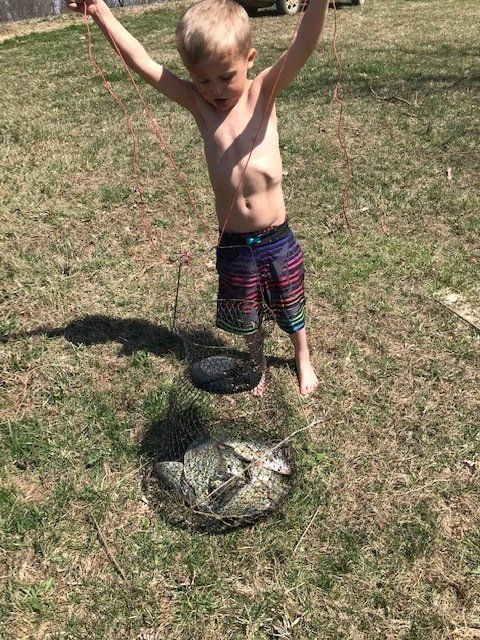 Bare-chested child raises arms, smiling, over a turtle in a net on grass.