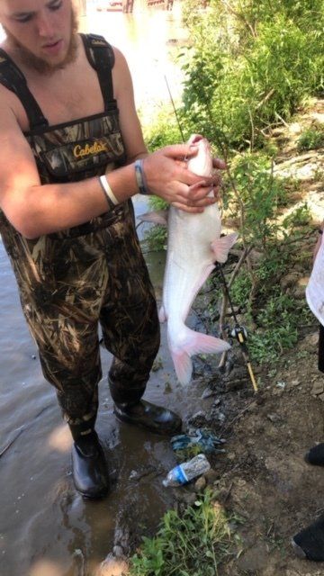 Man in camo overalls holding a large, light-colored fish near a riverbank.