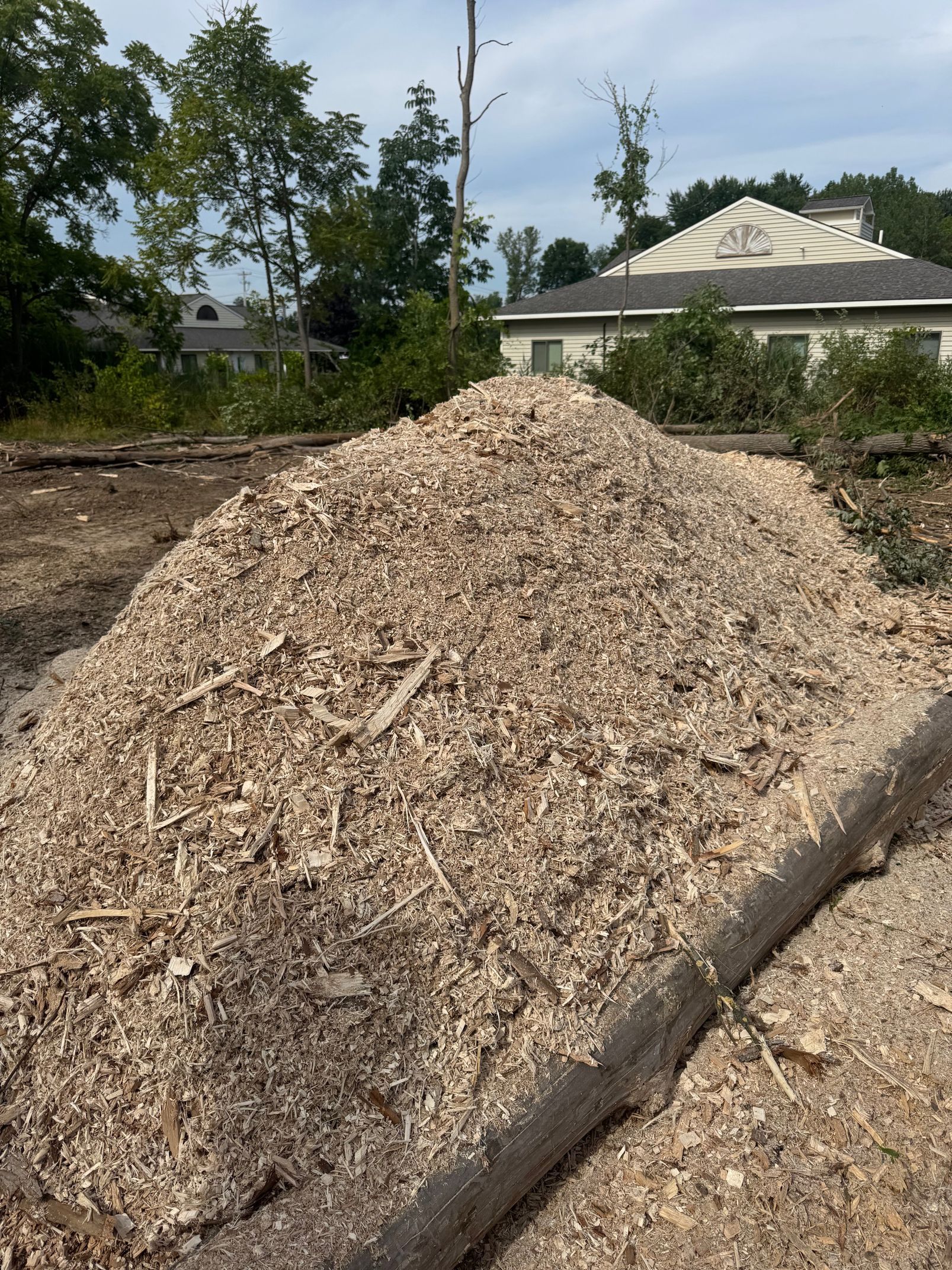 A large pile of wood chips in front of a building, likely from recent tree removal.