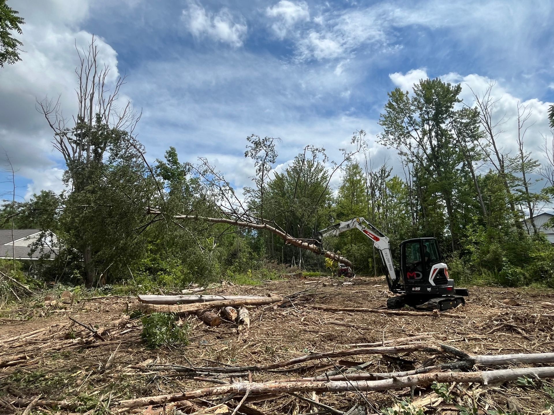 A small excavator clearing trees in a wooded area, with logs and debris scattered on the ground under a cloudy sky.