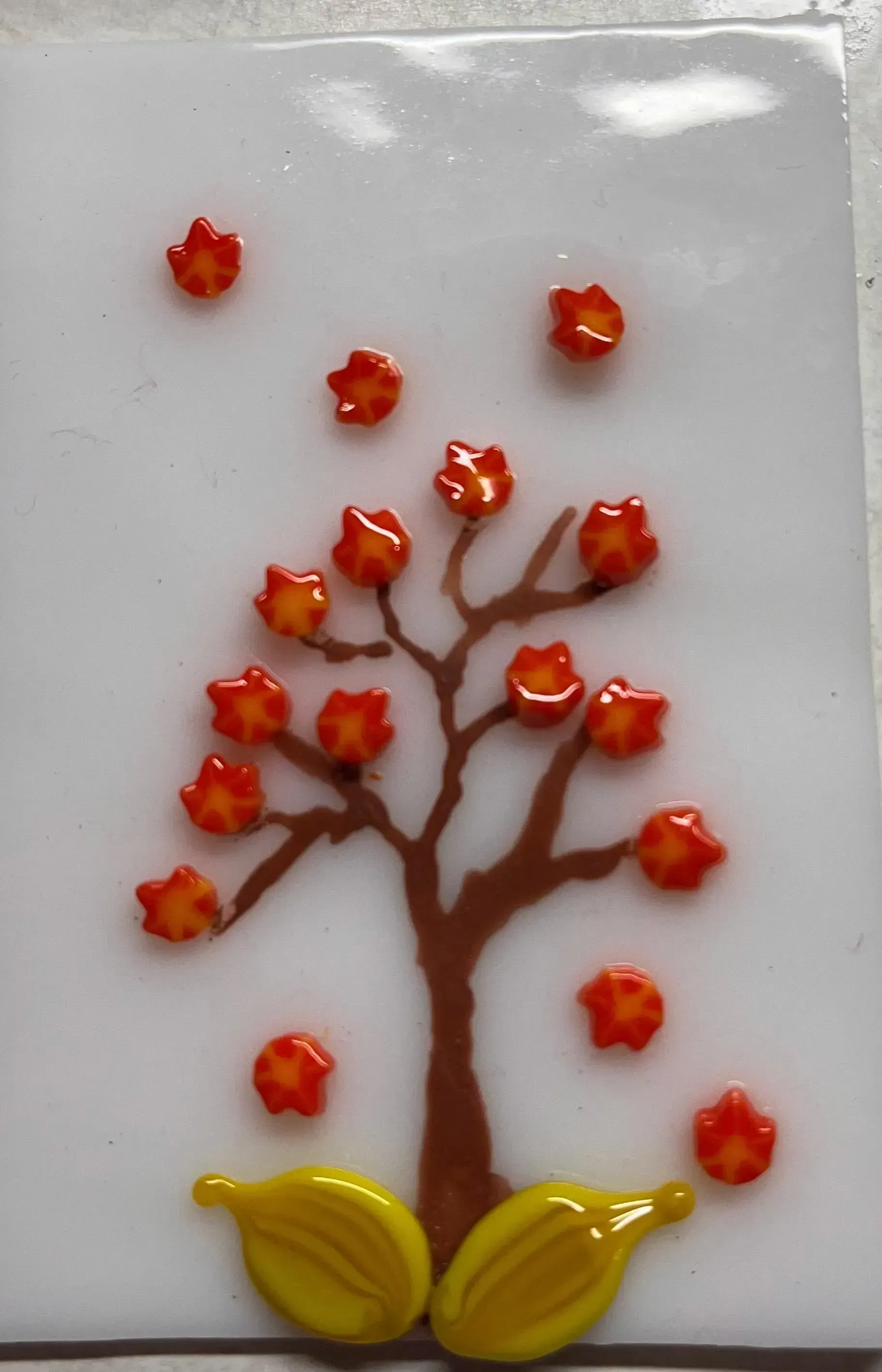 Coe 96 Murrini Maple Leaf 1 oz