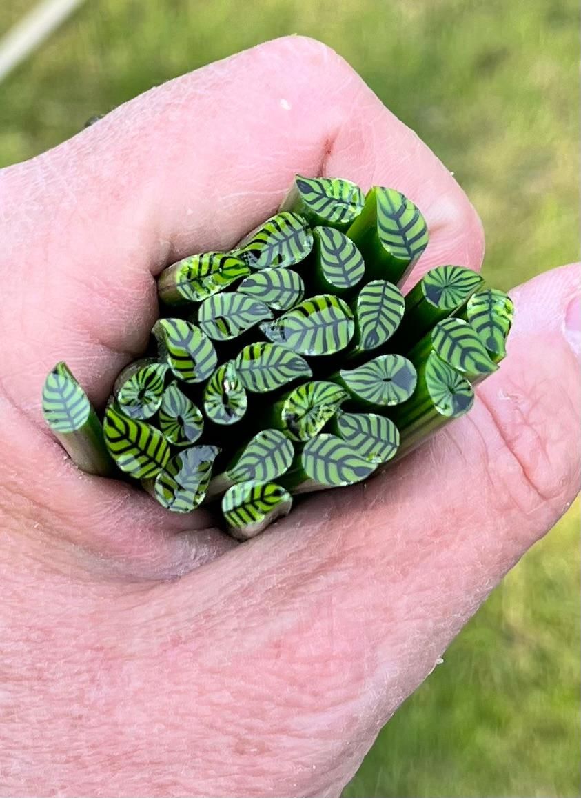 Coe 90 Leaves Medium Green