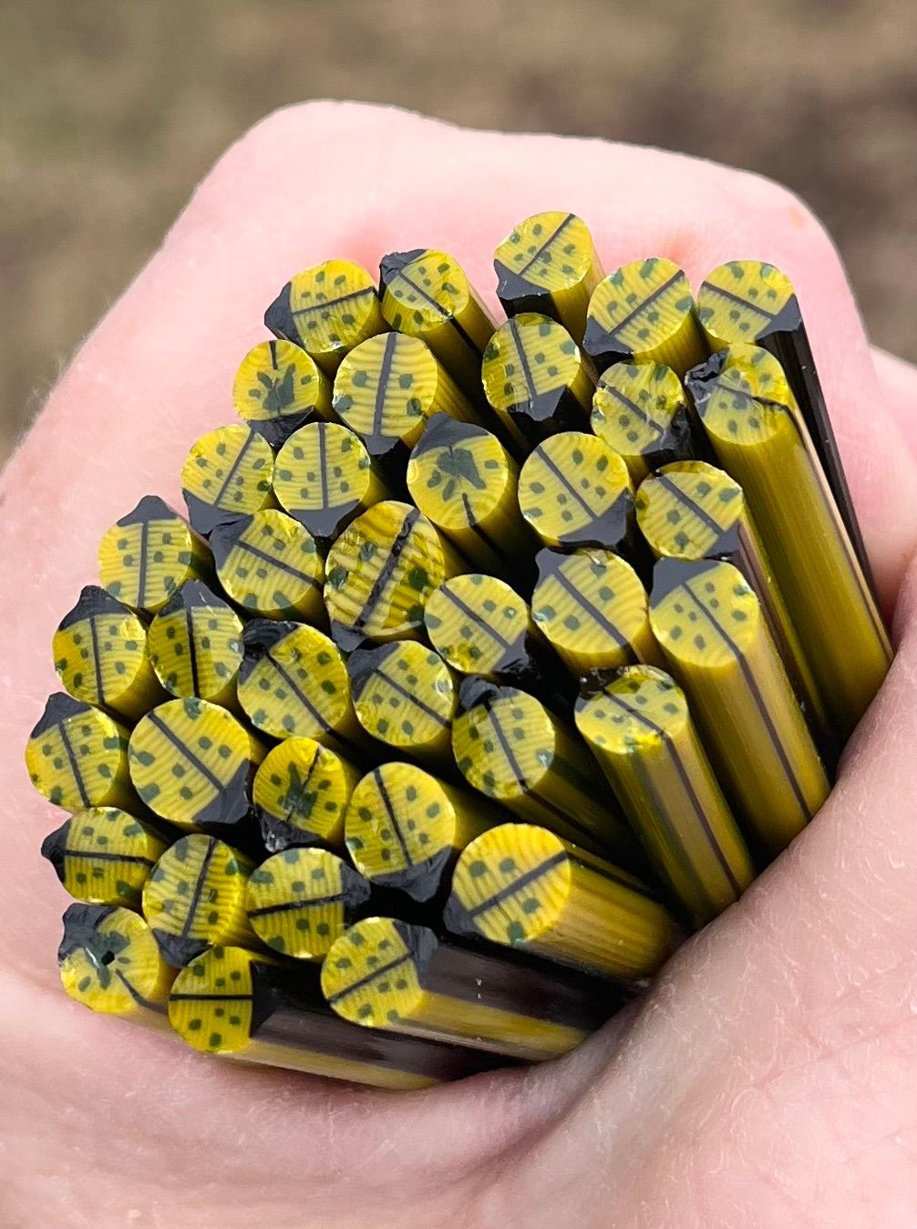 Coe 96 Murrini Beetle Count Funkula