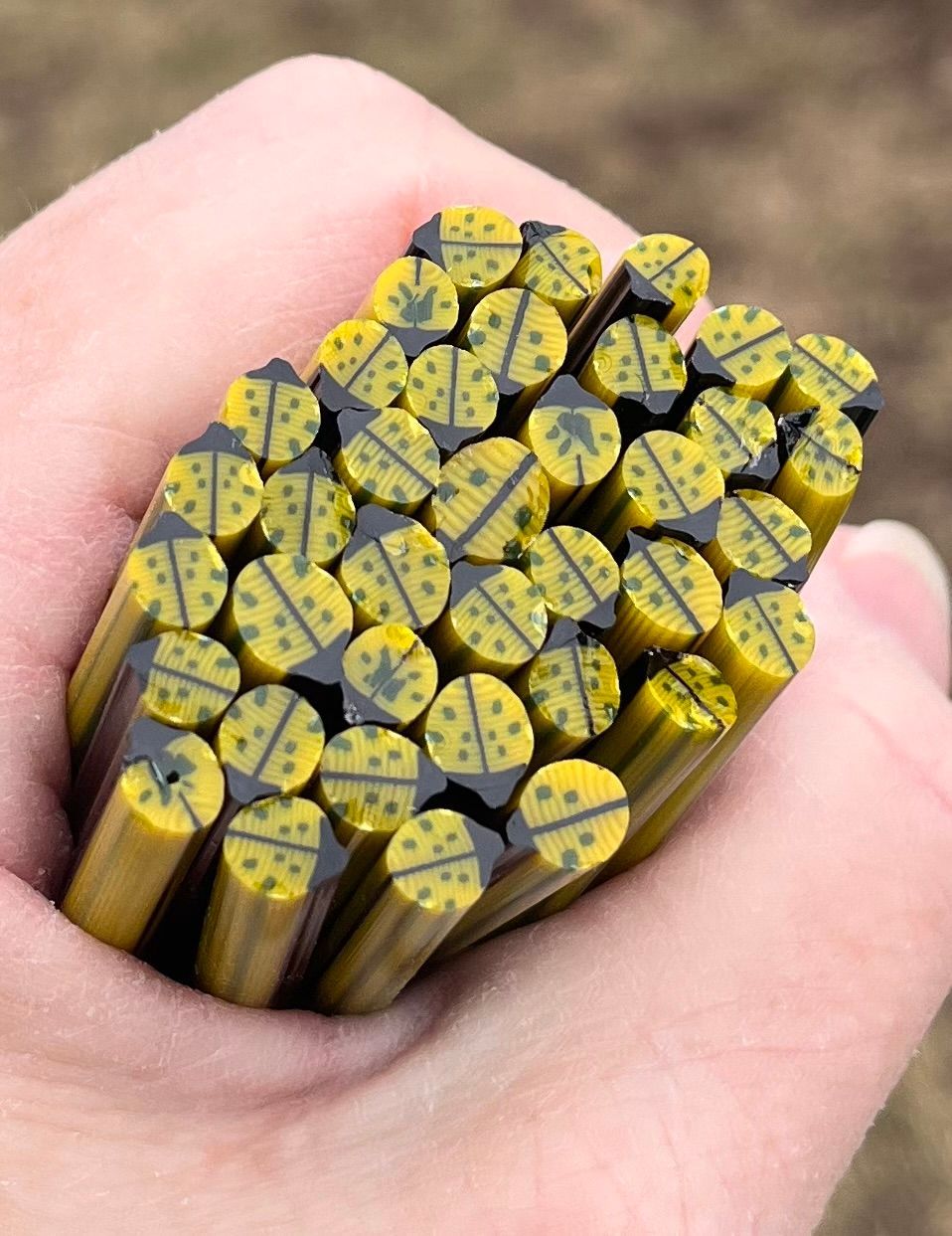 Coe 96 Murrini Beetle Count Funkula