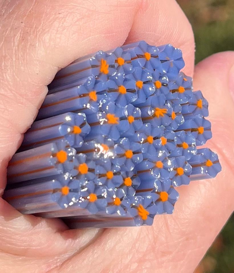 Coe 96 Murrini Flower Forget me Not