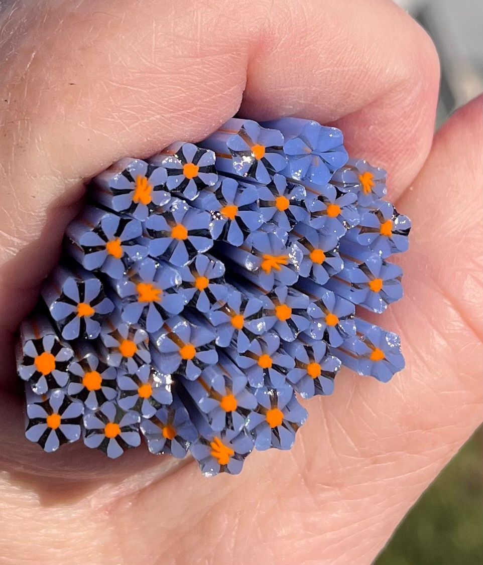 Coe 96 Murrini Flower Forget me Not