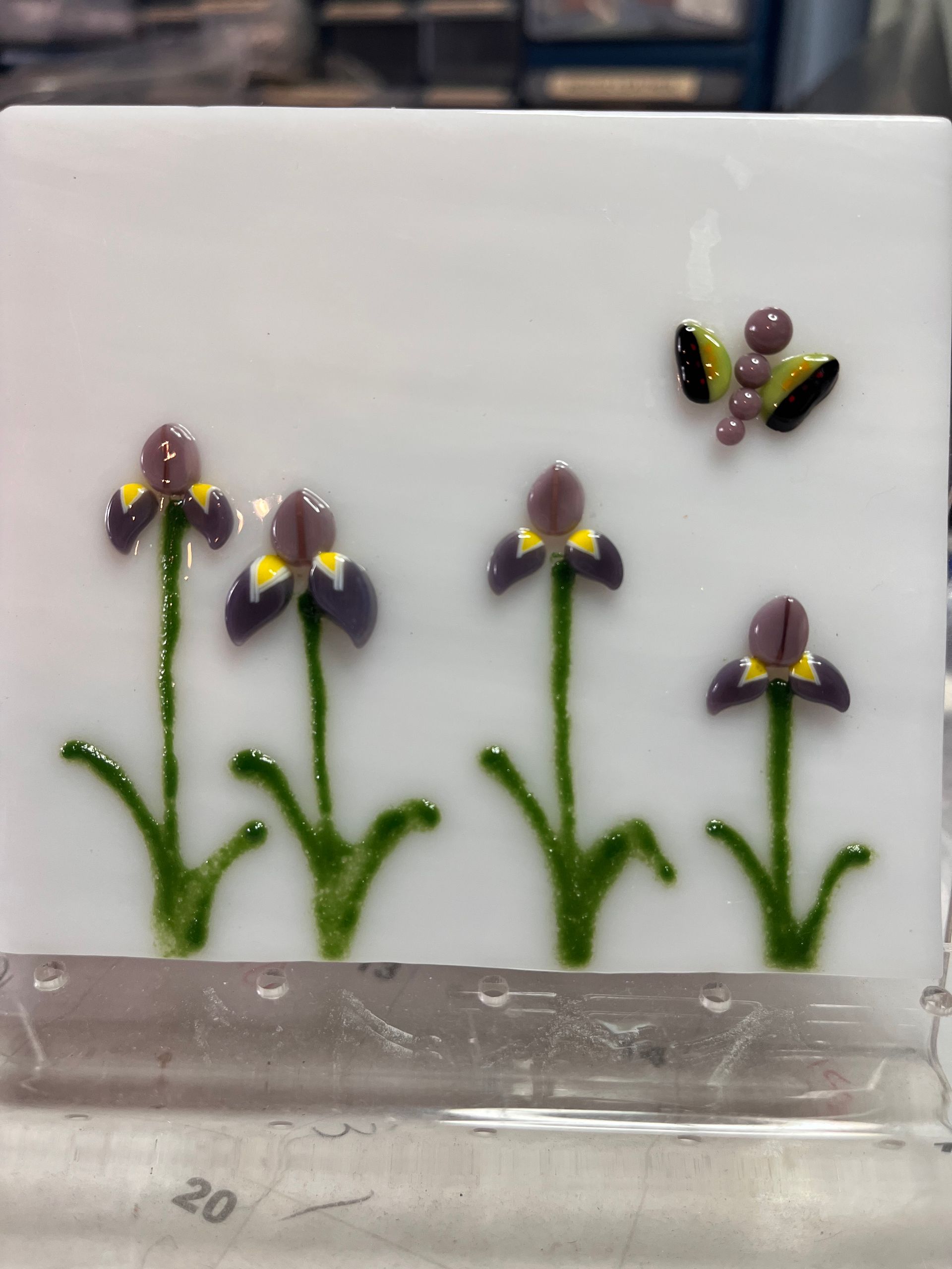 Coe 96 Flower Purple Iris