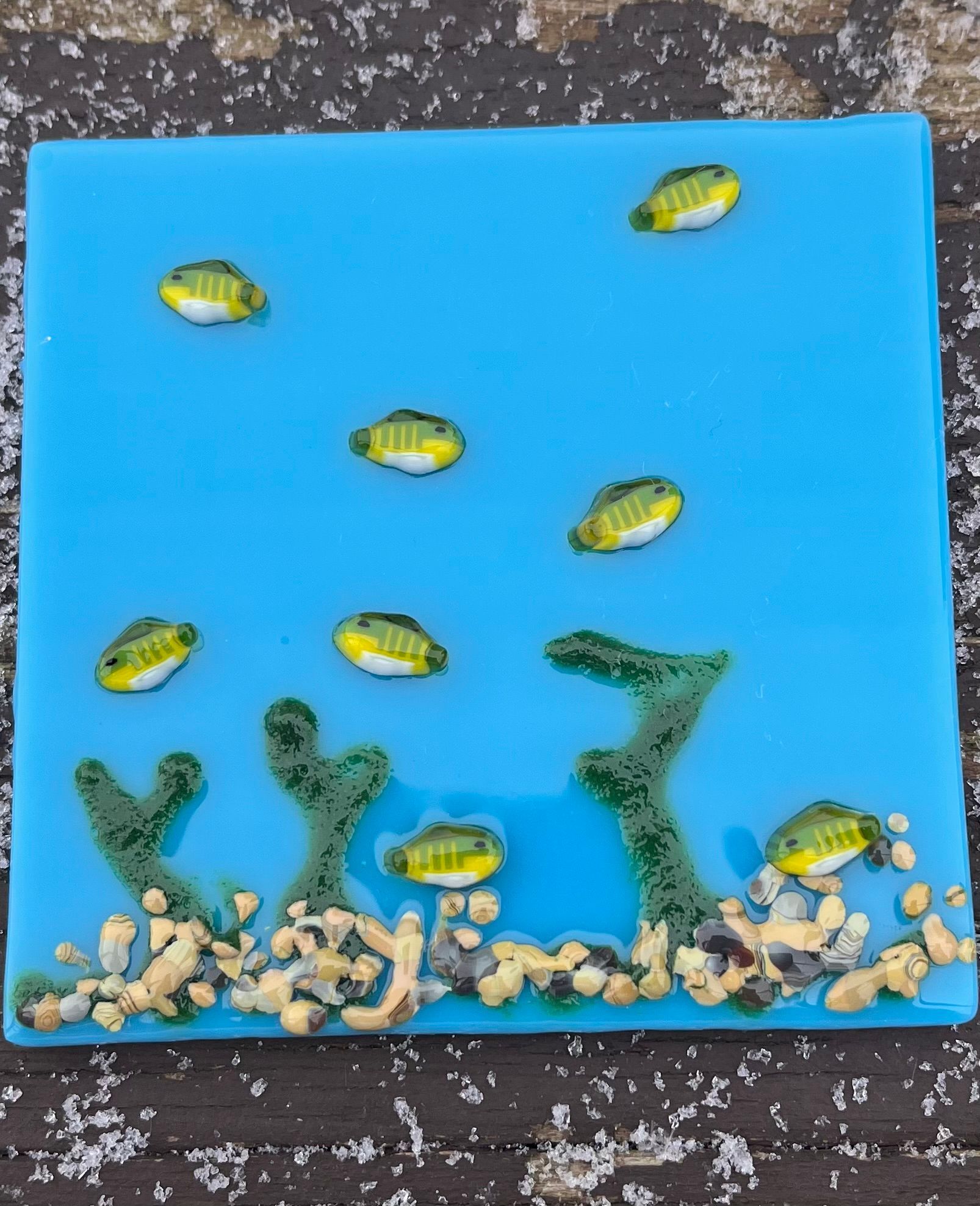 COE 96 Glass Perch Murrini