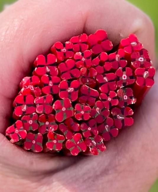 Coe 96 Murrini Red Posey