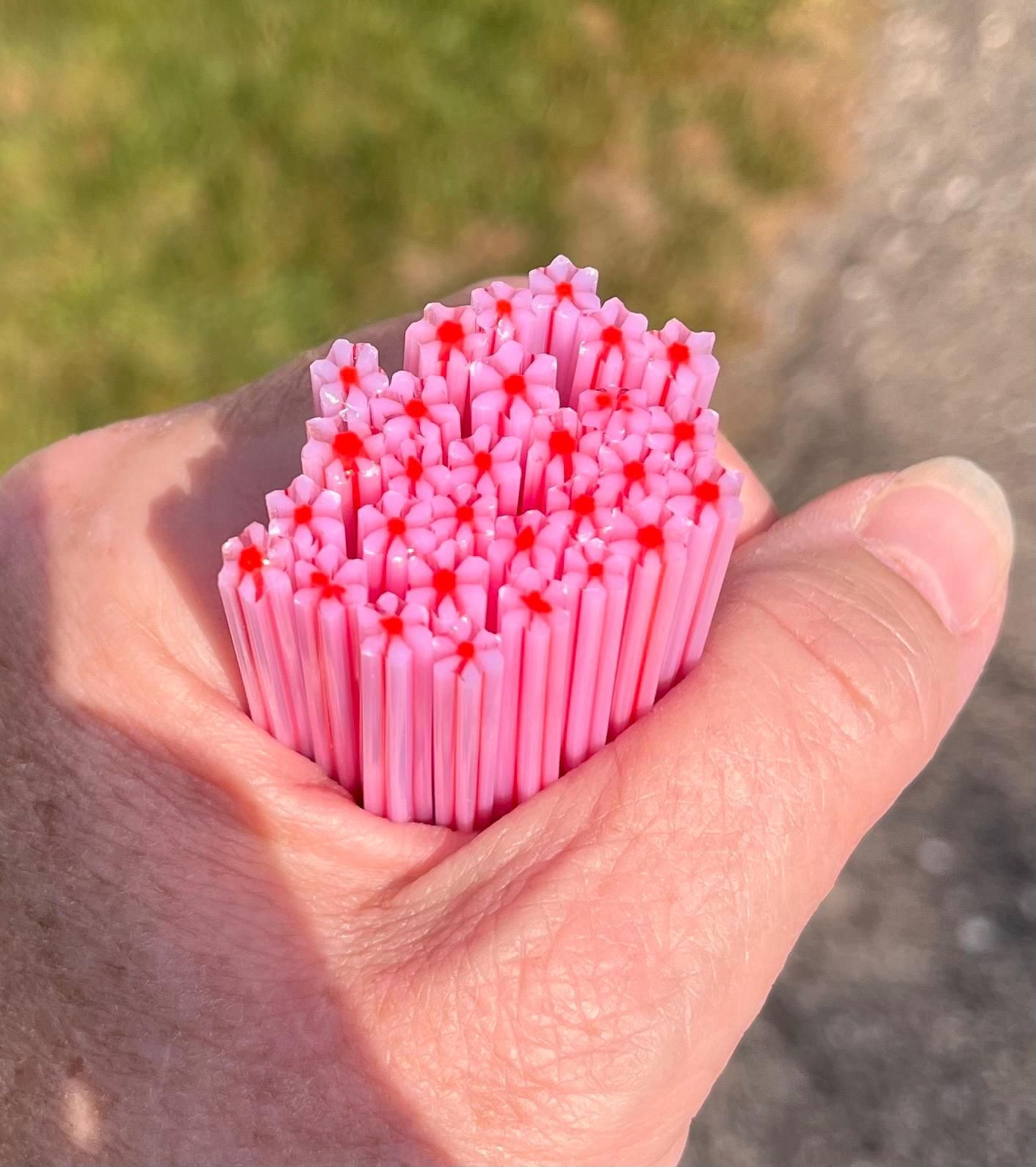 Coe 90 Murrini Flower Gazania