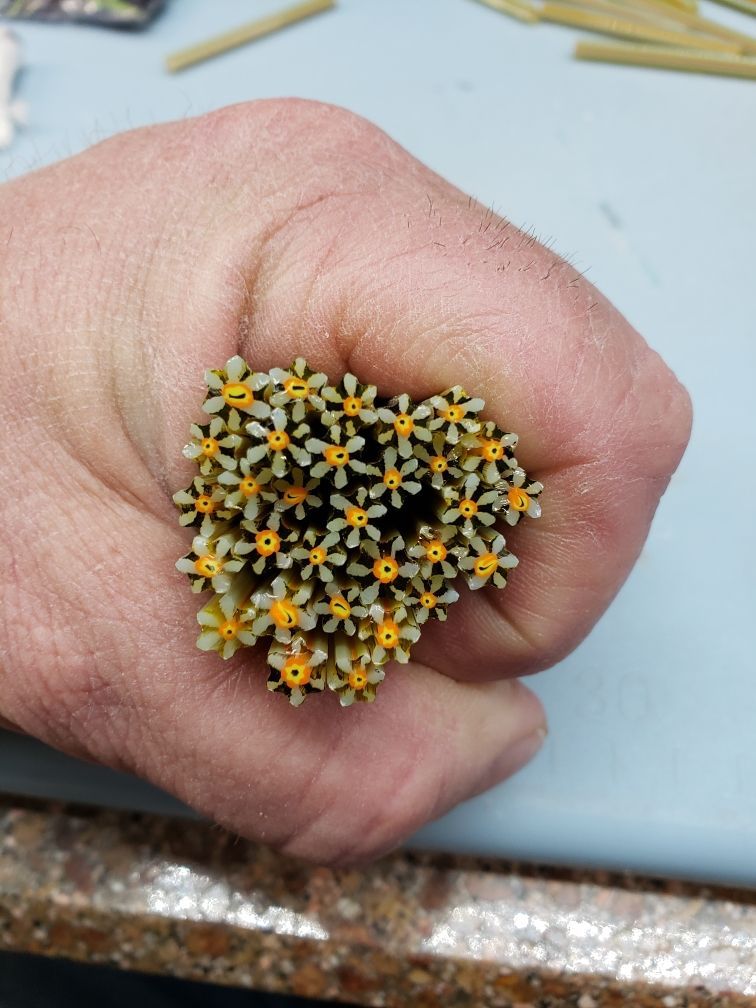 Coe 90 Flower Swampblister