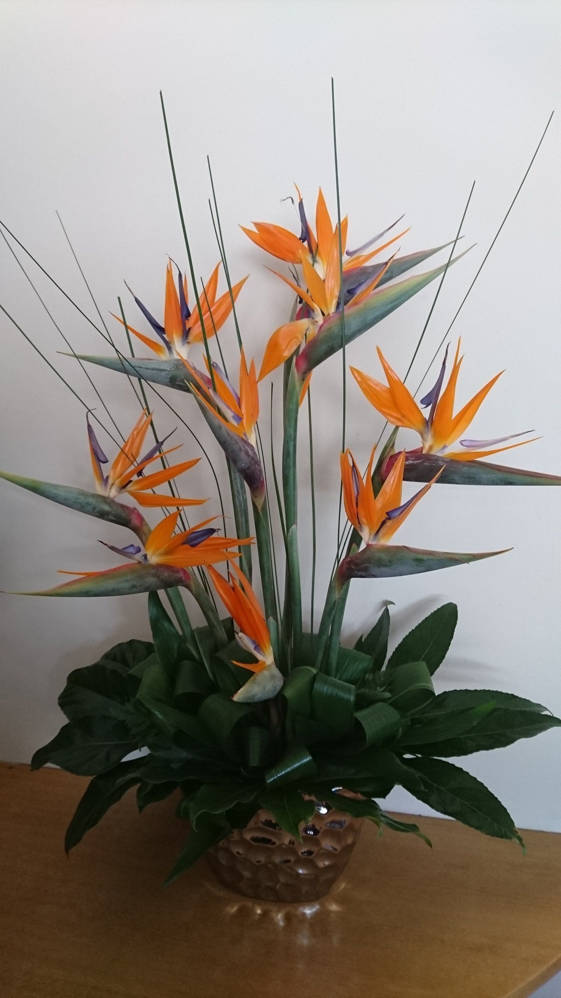 Flower Delivery from Croydon to the rest of the UK Kane's Florist