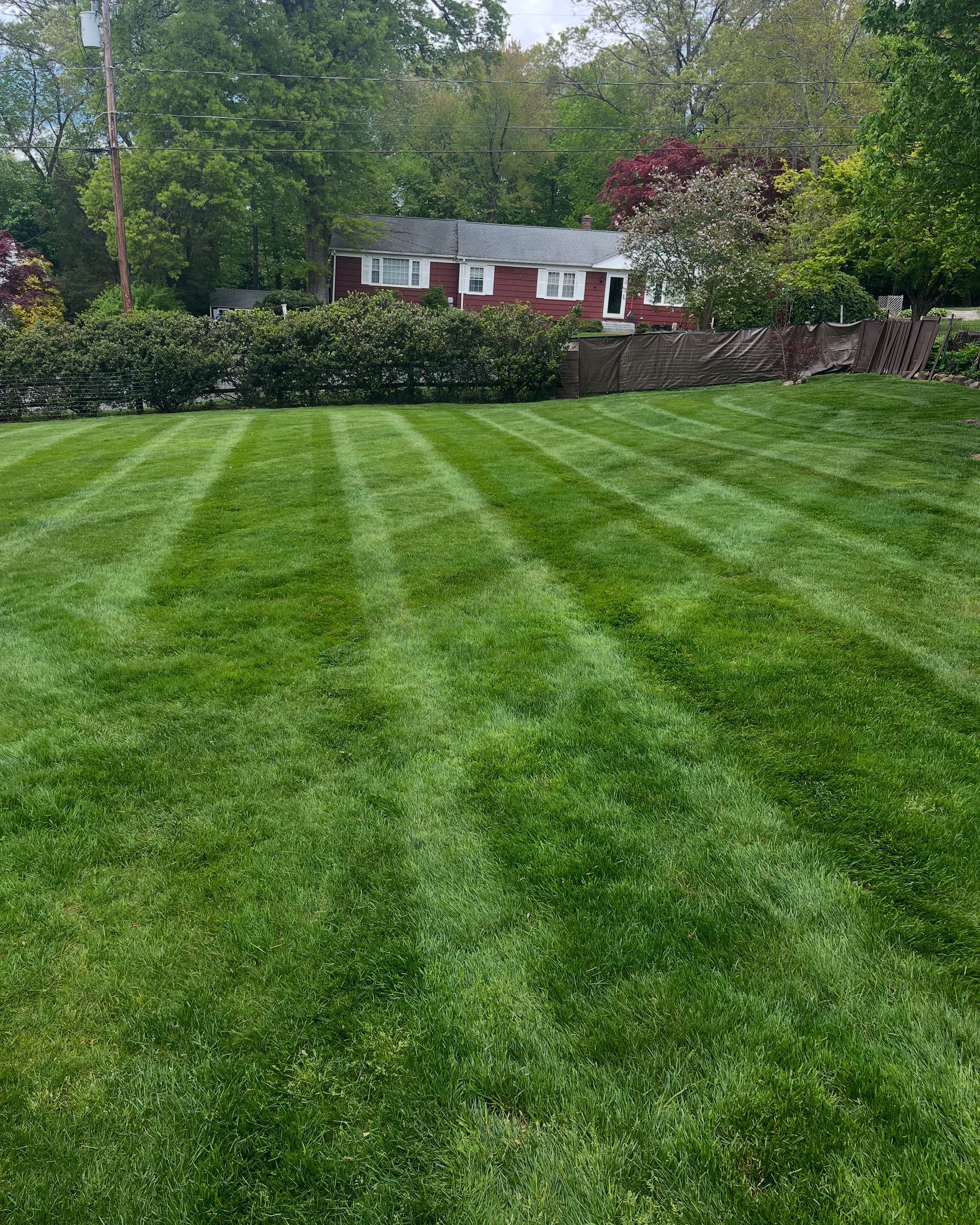A lush green lawn with a red house in the background.