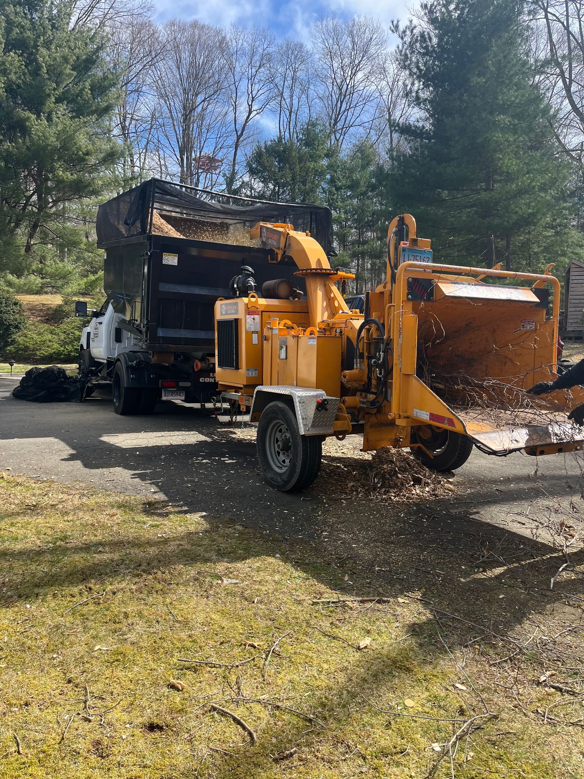 A yellow tree chipper is being used to remove trees from a driveway.