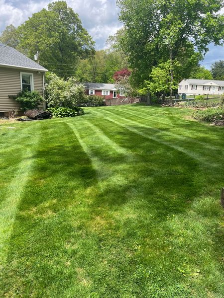 A lush green lawn in front of a house on a sunny day.