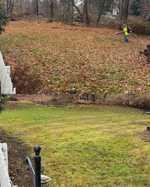 A person is raking leaves in a yard.