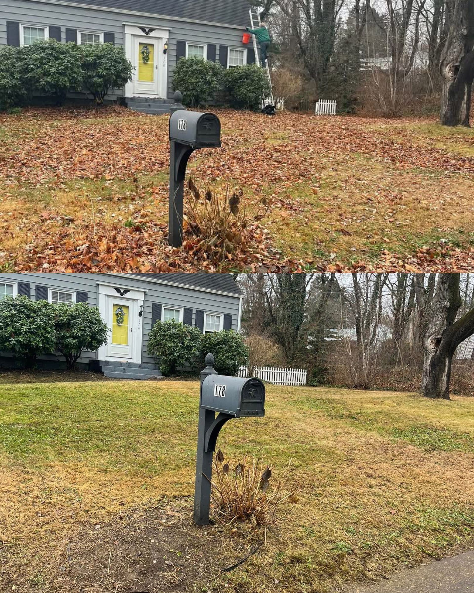 Two pictures of a mailbox in front of a house covered in leaves.