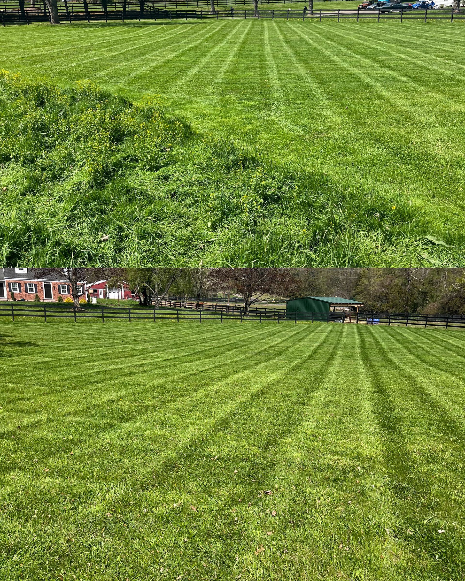 A lush green field of grass with a fence in the background.