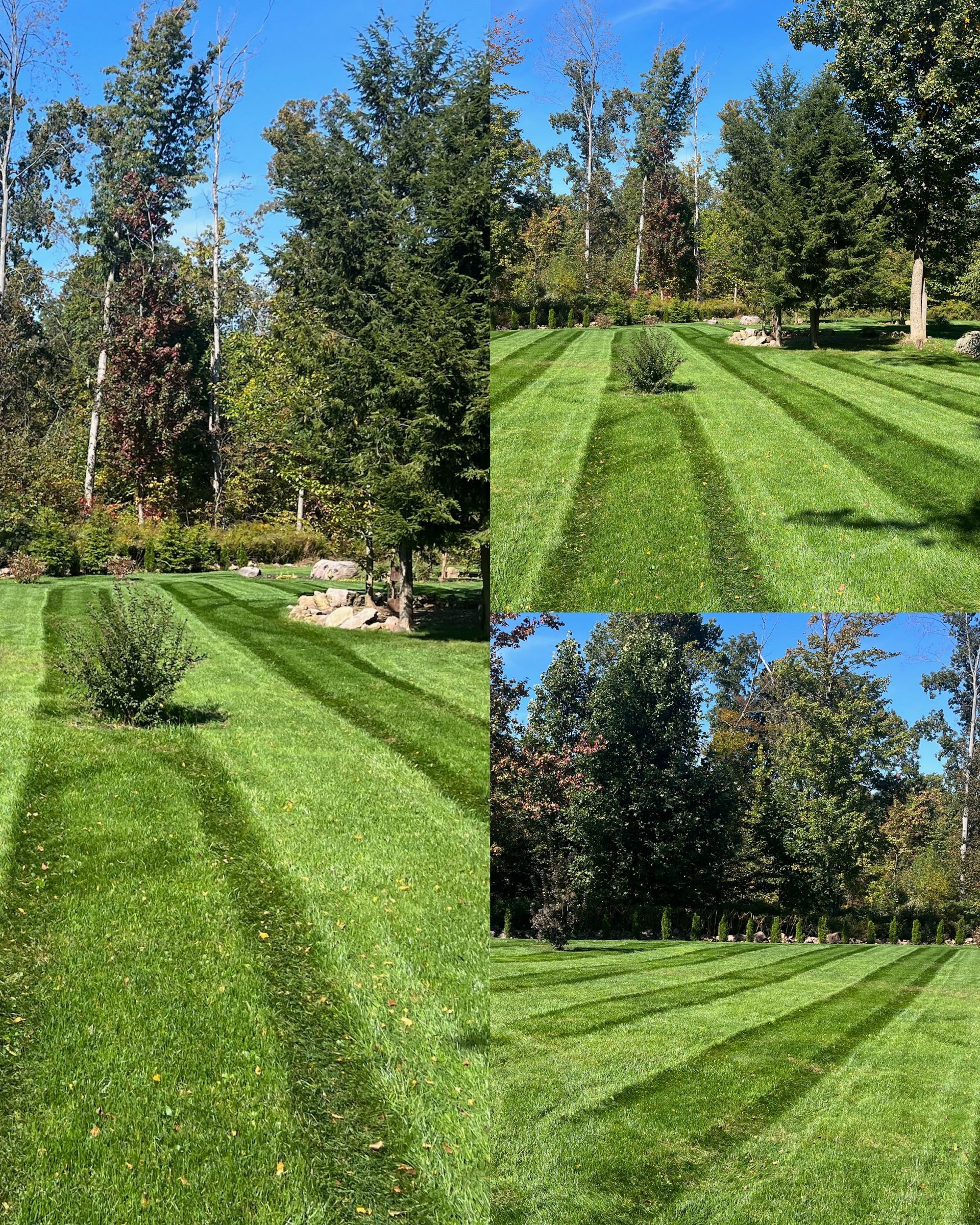 A collage of four pictures of a lush green lawn with trees in the background.