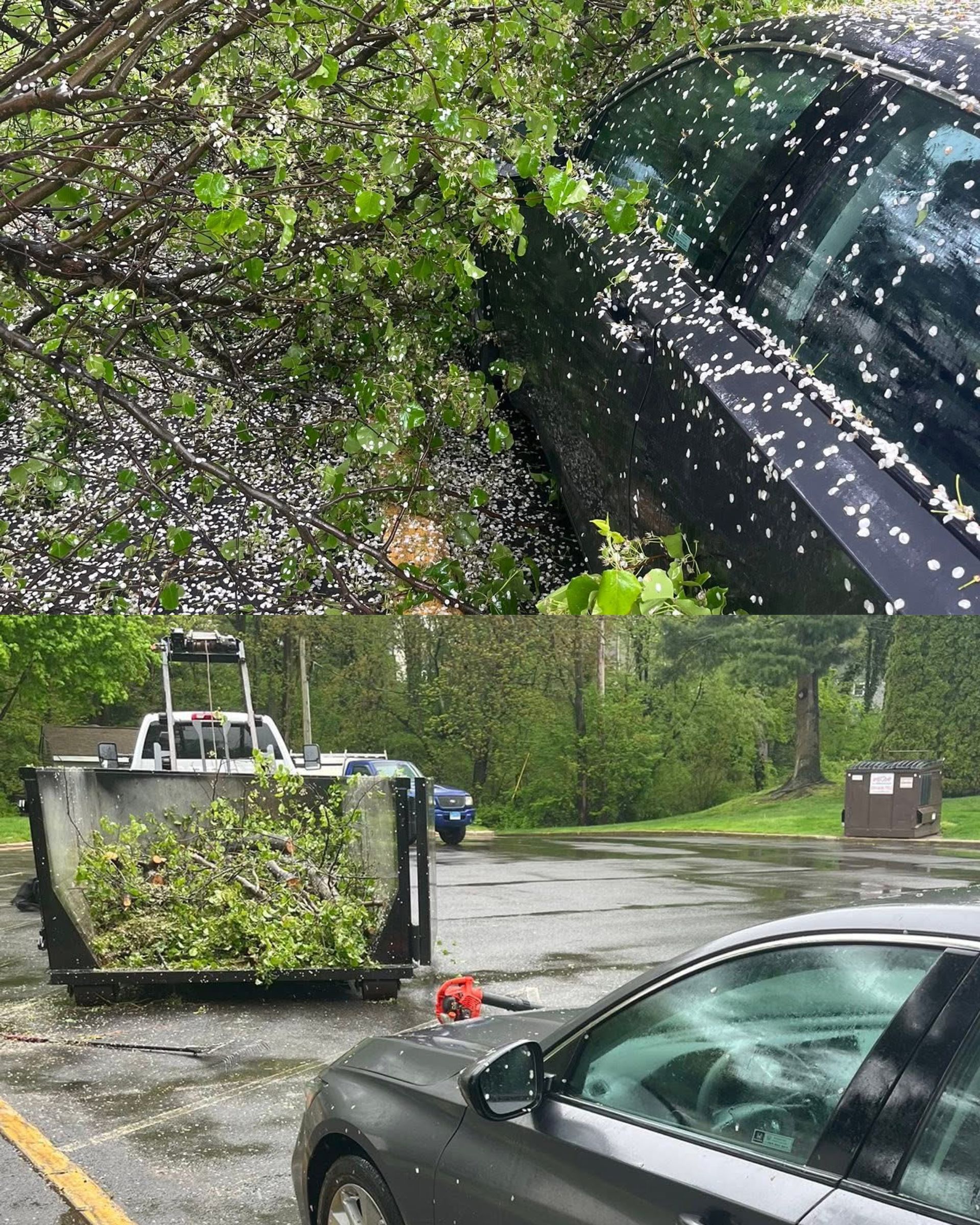 A car is parked in a parking lot next to a tree.