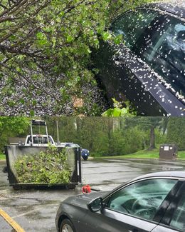 A car is parked in a parking lot next to a tree.