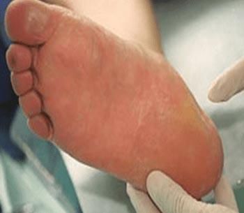 Dr. Raúl Bacelis Arzápalo