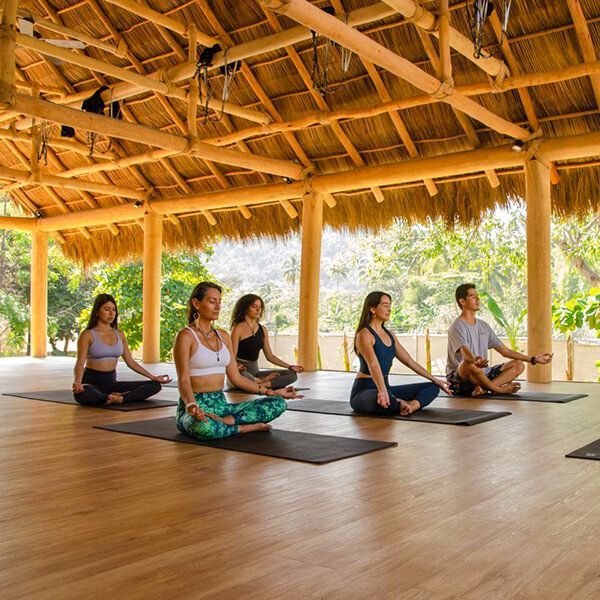 Click the button to learn more about our upcoming yoga retreat in Mexico