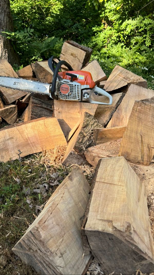 A chainsaw is sitting on top of a pile of logs.