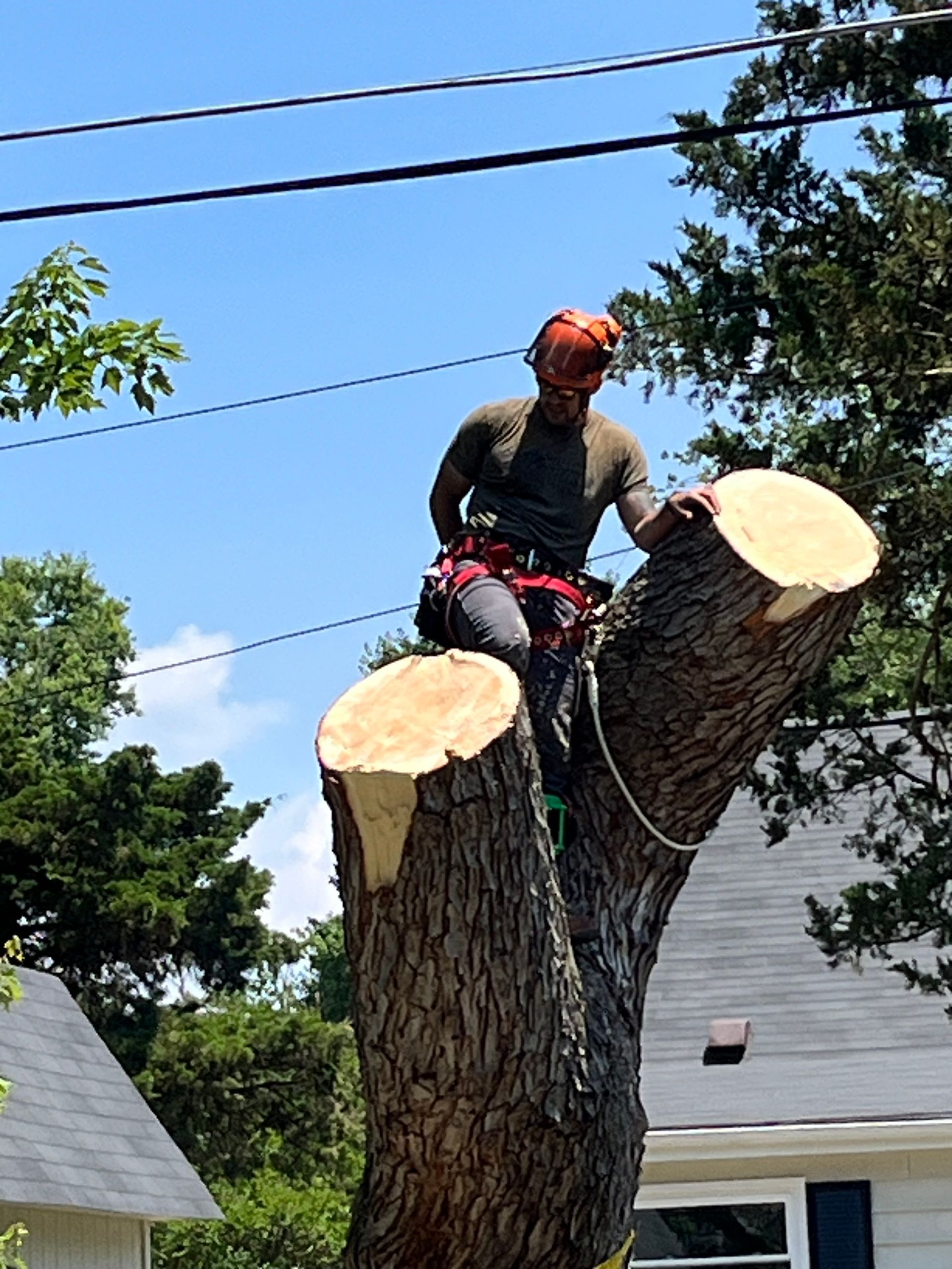 A man is sitting on top of a tree stump