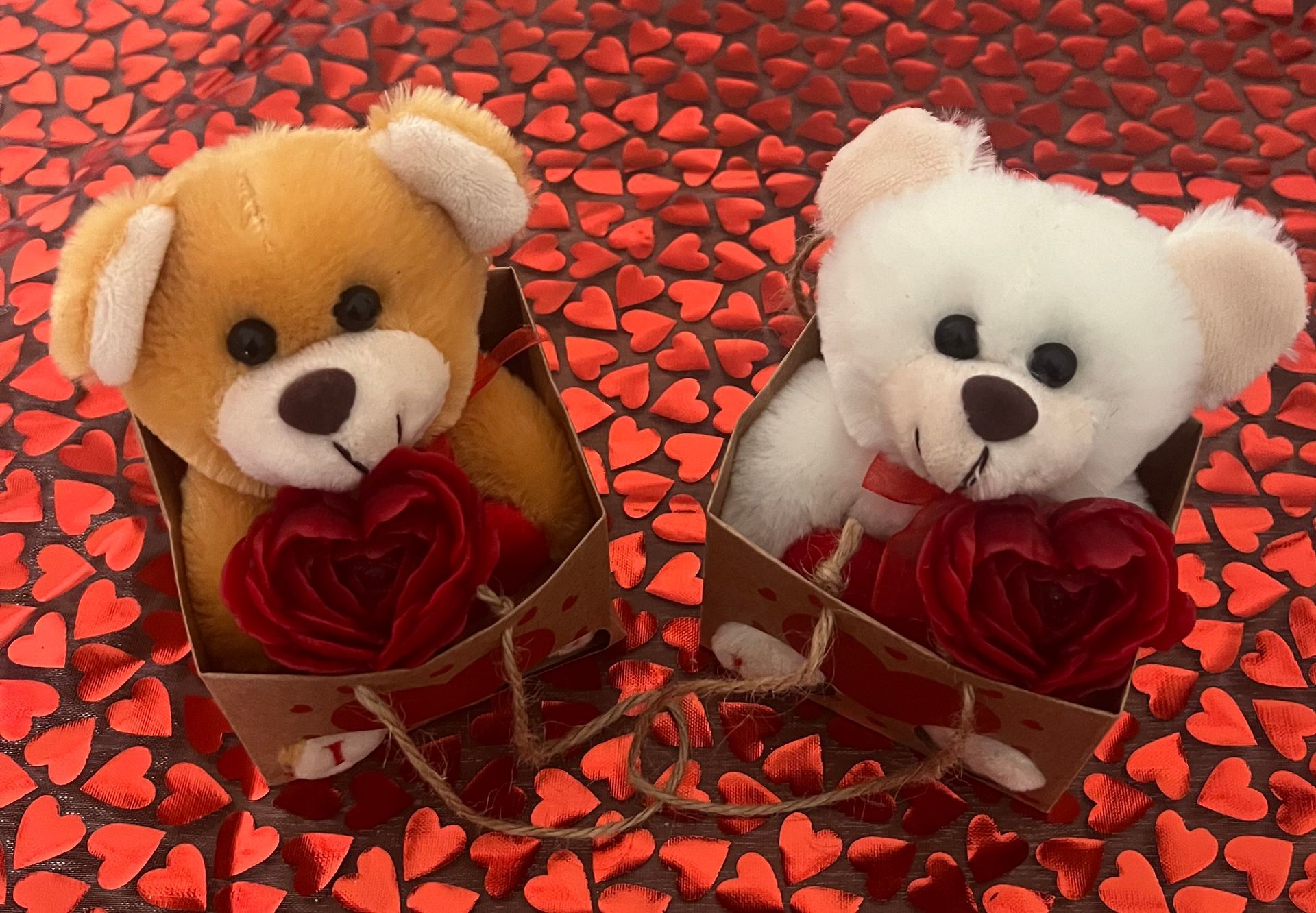 Orsetto del cuore con candela