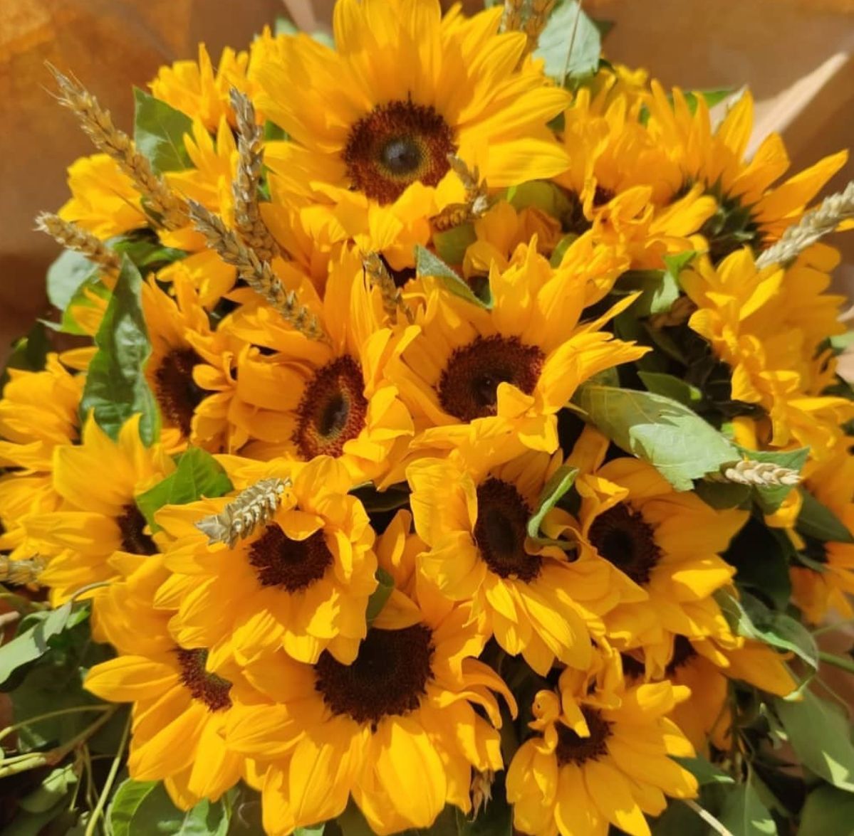 Pacchetto Laurea a partire da 100 euro