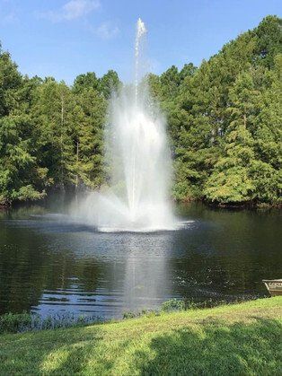 Image of Fountain in the Middle of Lake — Jacksonville, FL — Innovative Fountain Services