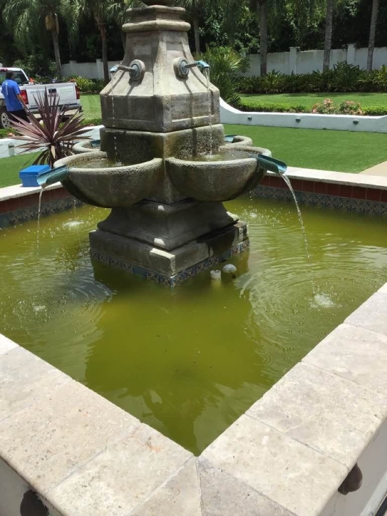 Before Heaven Trees Fountain Maintenance — Jacksonville, FL — Innovative Fountain Services