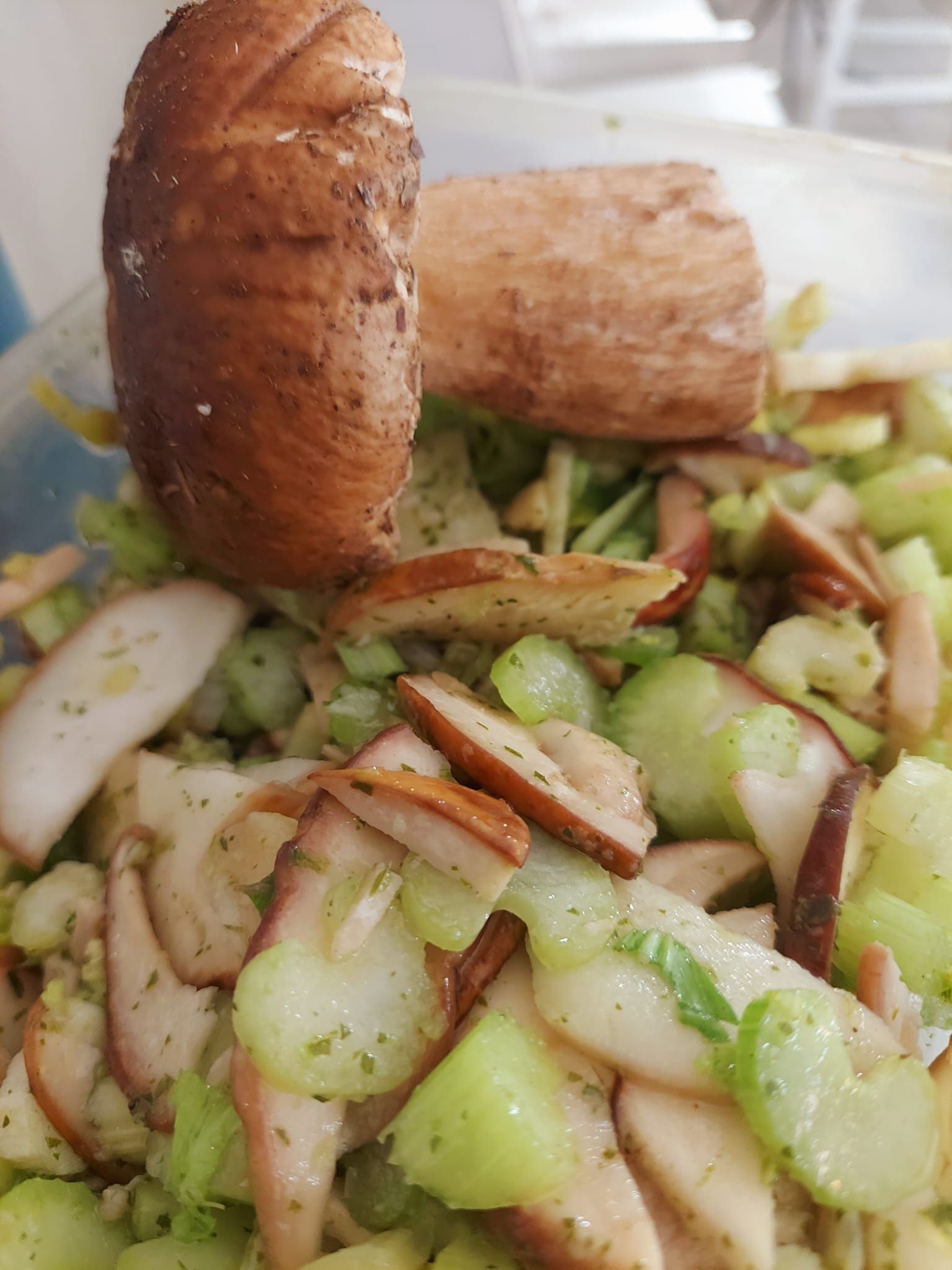 Insalata di polpo a Torino