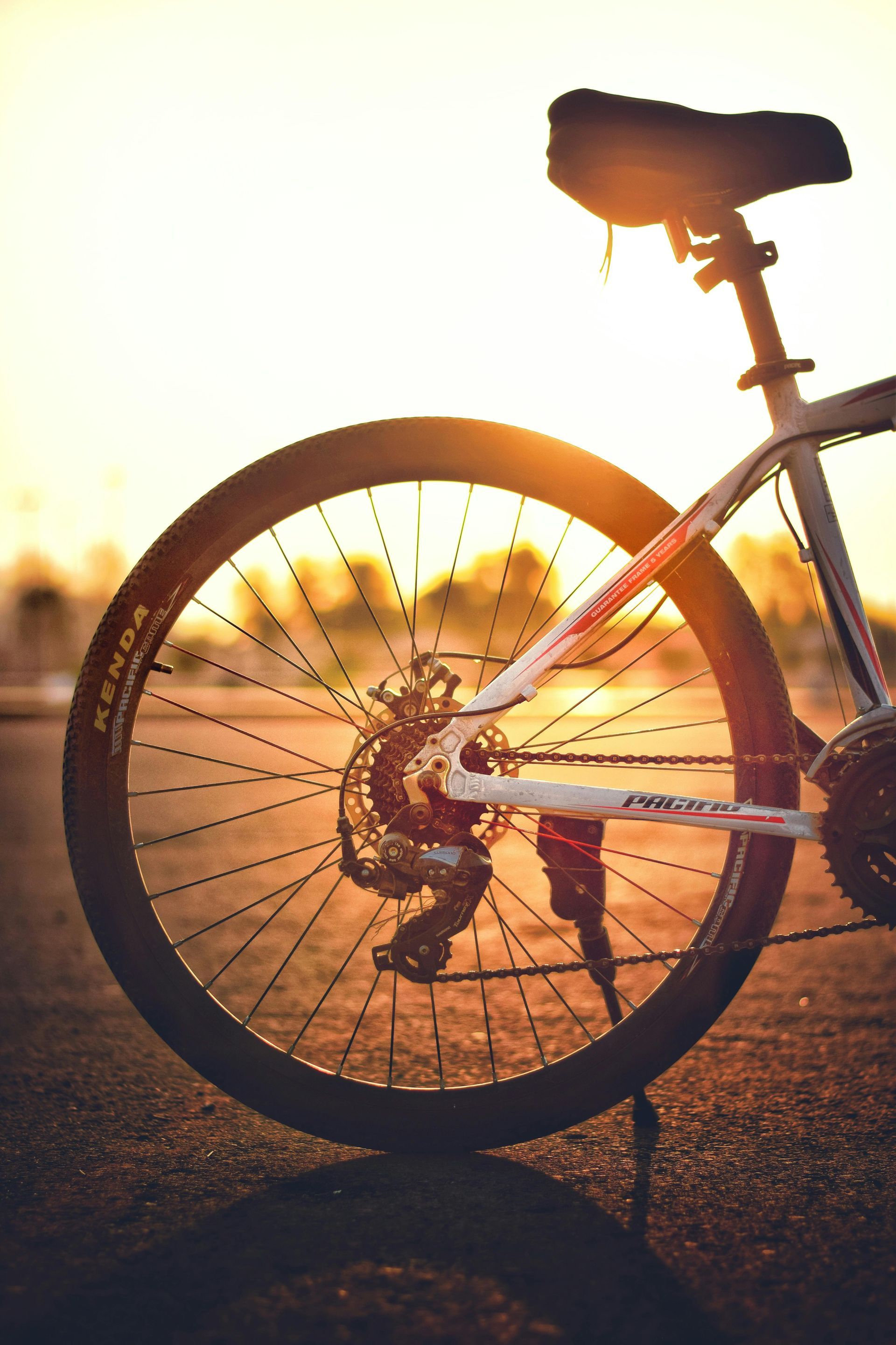 A bicycle’s rear wheel and saddle silhouetted against a golden sunset.
