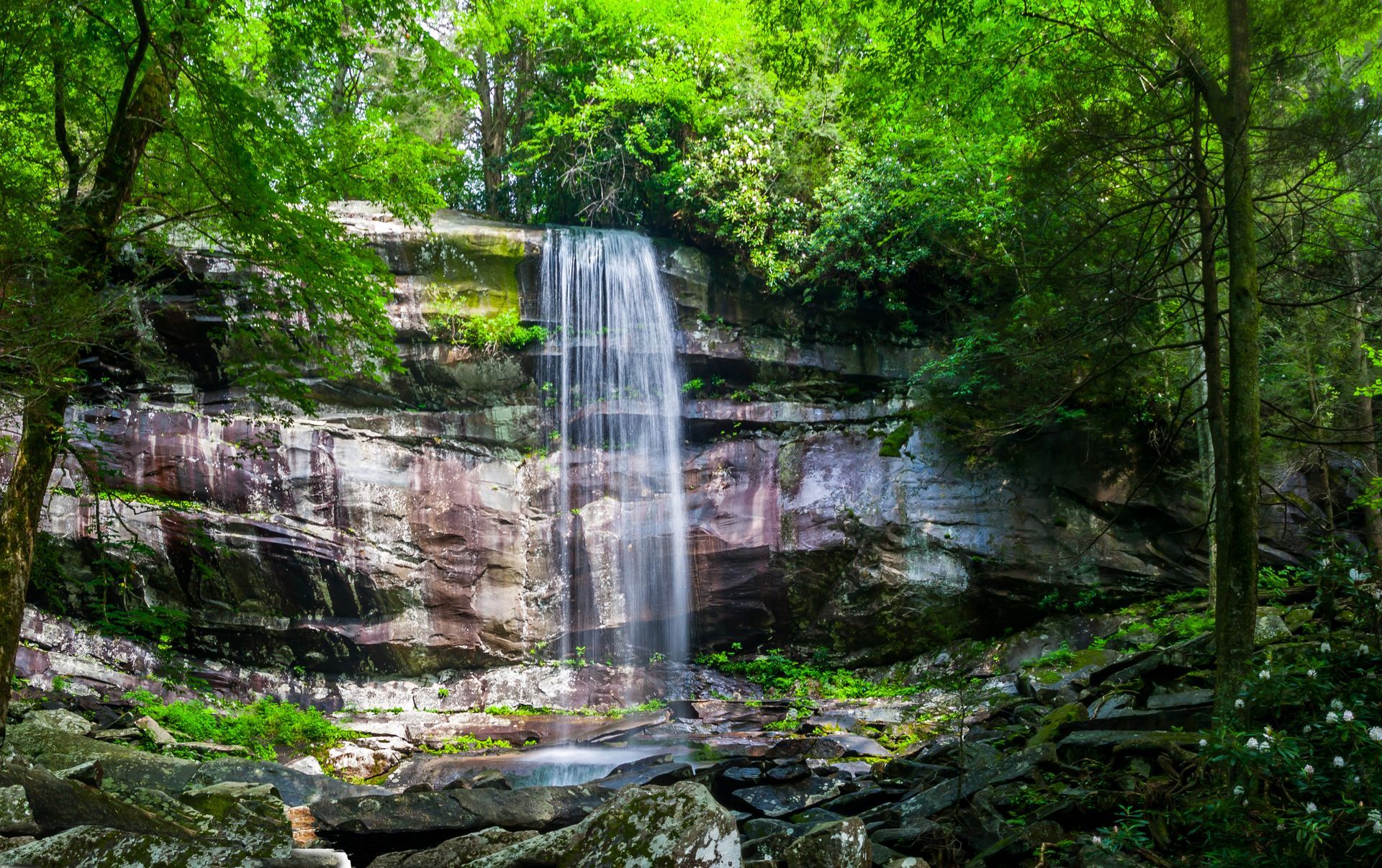 A waterfall flows over a rocky cliff face surrounded by a lush green forest.