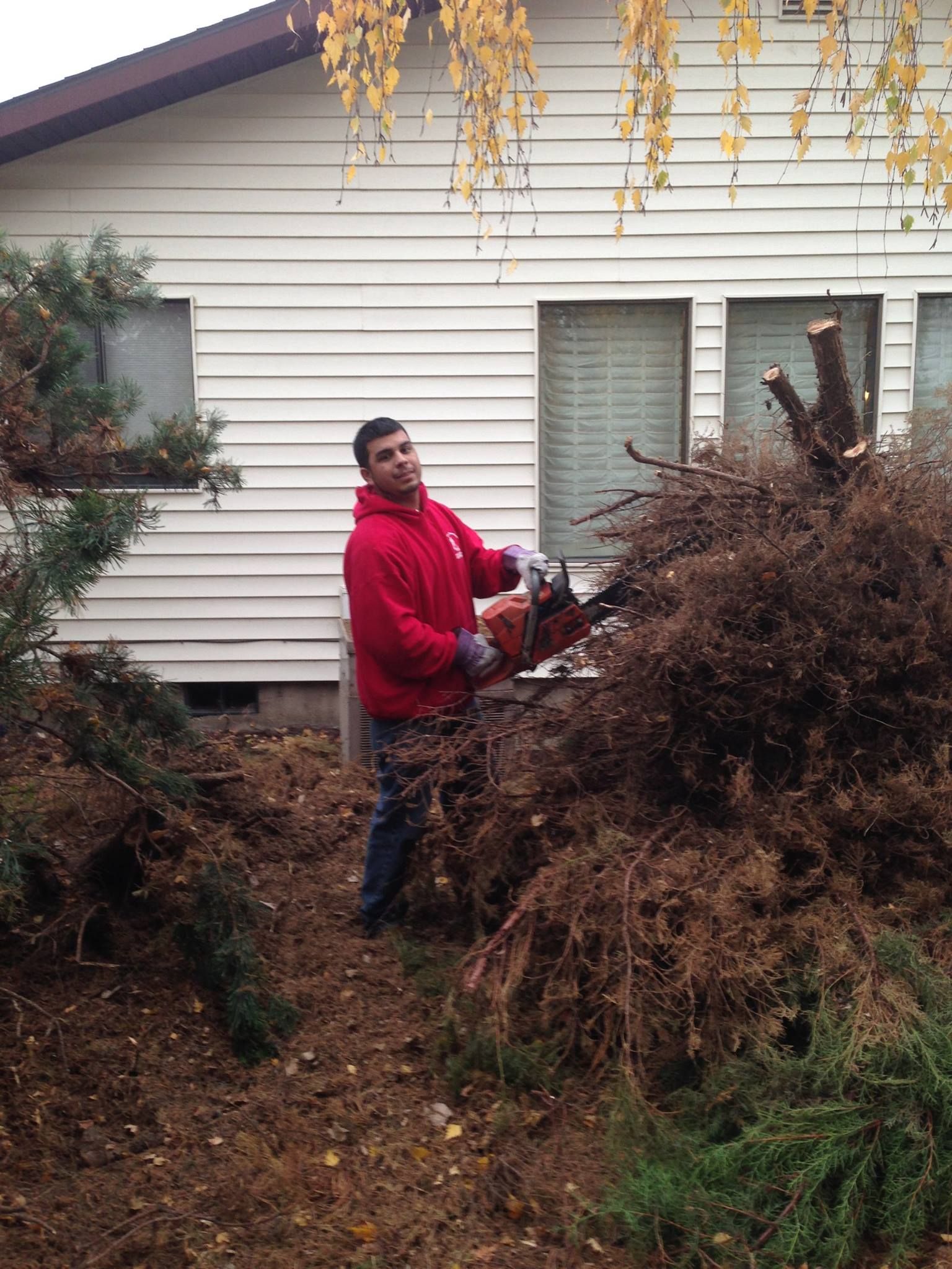 Man On A Red Jacket Cutting Trees Using Chainsaw - Walla Walla, WA - Mario's Yard Care