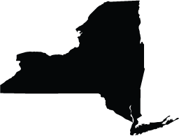 A solid black silhouette of the state of New York.