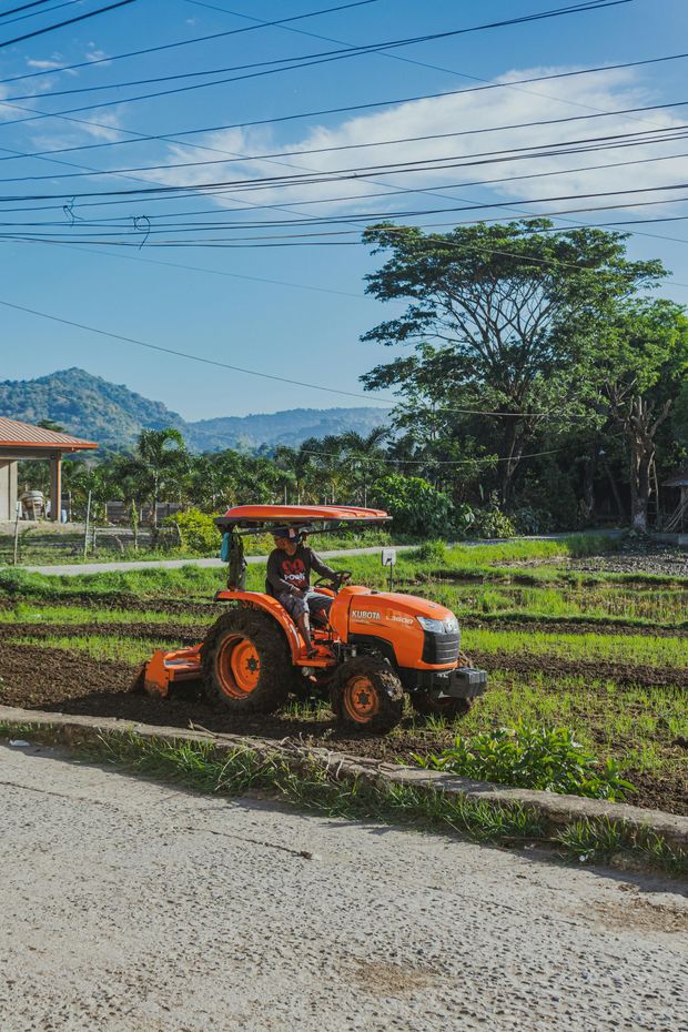 A man is driving an orange tractor down a dirt road.