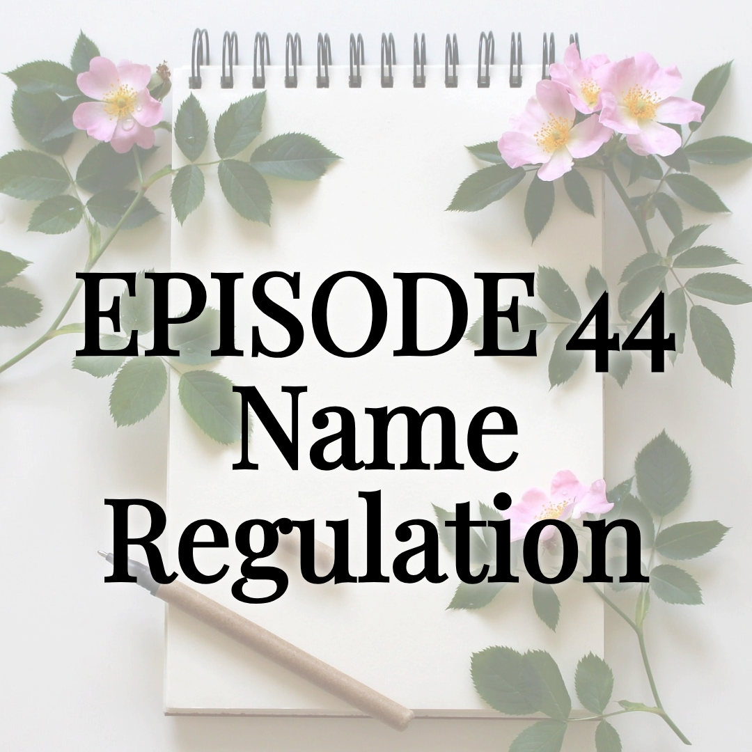 Episode 44 Name Consistency & Regulation