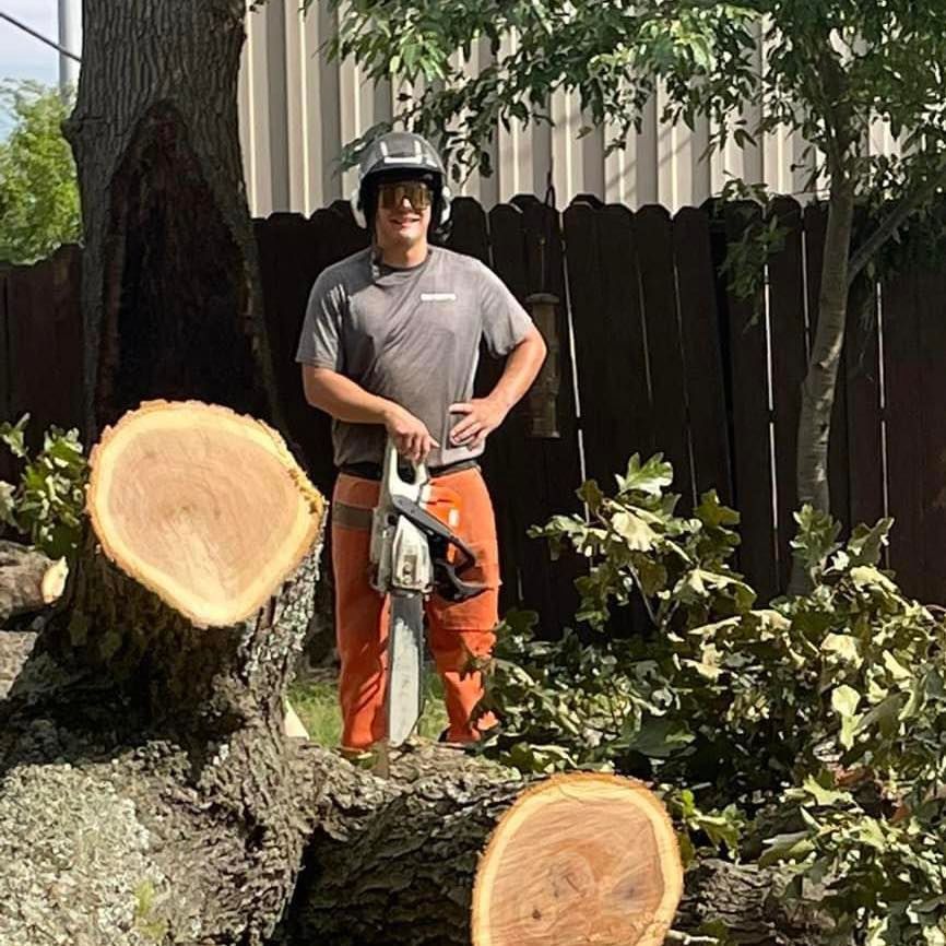 Arborist with chainsaw stands near cut logs and tree, wearing a helmet and safety pants outdoors.