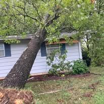 A tree has fallen onto a house. The house is blue and white.
