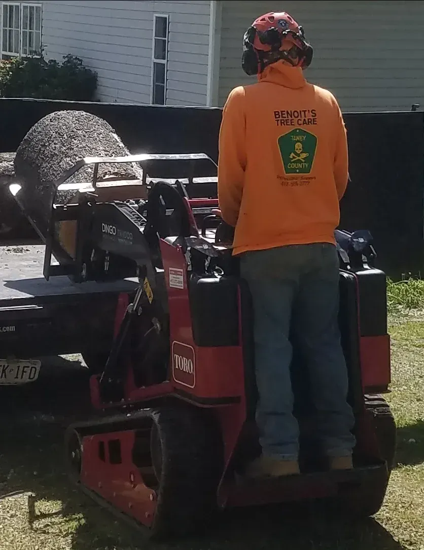 Man operating a red mini-excavator, wearing an orange sweatshirt. A large log sits on a trailer in the background.
